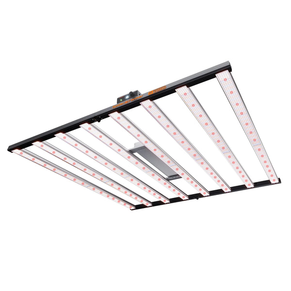 LED Lighting